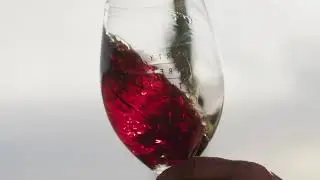 Tasting Notes - 2020 Dirt Number Three Pinot Noir