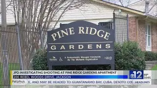 One killed in shooting at Jackson apartment complex