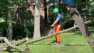 Notch Chainsaw Chaps