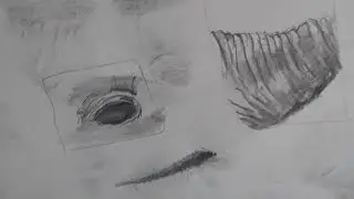 Texture Study