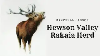 The Rakaia Herd Campbell Gibson; Hewson Valley; Orari Catchment, South Canterbury 1936