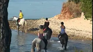 Horse centar Lanterna