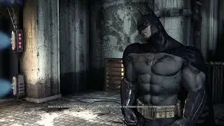 Batman  Arkham Asylum Perfect Combat Freeflow PC