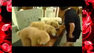 Свежие приколы 5