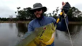 Living North in the Amazon