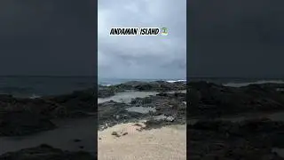 Andaman Island 🏝️ #youtubeshorts #travel #andamanislands #trending #minivlog #shorts
