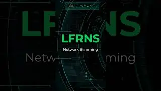 A low functional redundancy-based network slimming method for accelerating deep neural networks