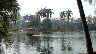 31 December Last Day Celebration | Bhilai Maitri Garden Vlog 🦁🐯🎢