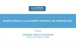 Valeria Souza a la Academia Nacional de Ciencias, NAS. La UNAM responde 1266
