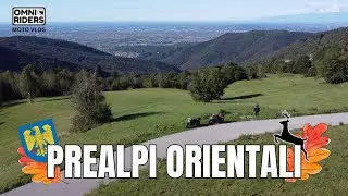 Panorami, asfalto bagnato e un CAPRIOLO a sorpresa! Prealpi orientali in moto #motovlog #friuli