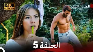 مسلسل الطائر المبكر الحلقة 5 (4K) (Arabic Dubbed)