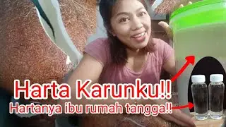 Cara membuat minyak kelapa(virgin coconut oil) minyak kelapa murni tanpa dipanaskan