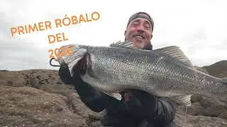 Sea bass, the first of the year!!