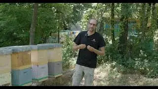 MIGLIORAMENTO GENETICO