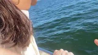 port stephens pt6