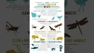 Clean and unclean truths