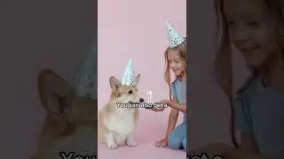 Dog Birthday Party Ideas