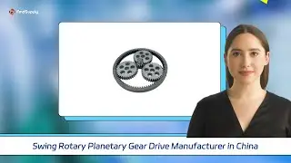 Swing Rotary Planetary Gear Drive Manufacturer in China