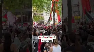 🇵🇸🍉 Zuccotti Park, New York Protest with Heavy Police Presence