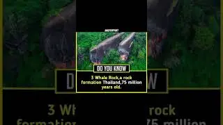 This Giant Rock Looks Like Whales! 🐋 Thailand&rsquo;s Most Unique Landmark #short #tranding