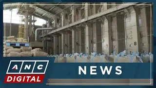 Japan&rsquo;s Agriculture Minister resigns after rice gaffe causes political fallout | ANC