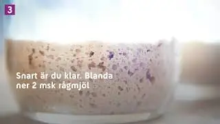 S&aring; kommer du ig&aring;ng med surdeg | Elon