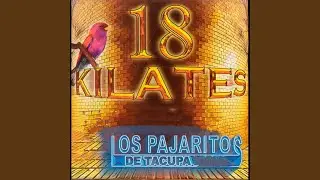 Un Día Vas a Llorar