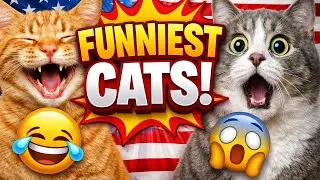 FUNNIEST CATS EVER 😂 | Try Not To Laugh Challenge | Viral Cat Moments Compilation 2026