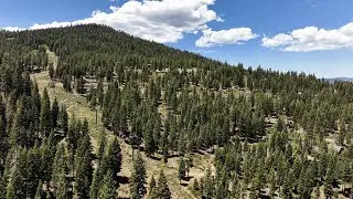 2222 & 2220 Silver Fox Court | Northstar Resort, CA | Vista Estate Visuals