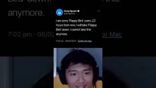 It's been 10 Years Since Flappy Bird was taken down