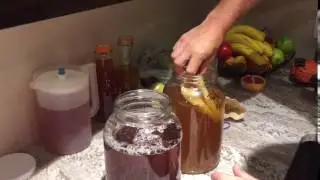Kombucha mushroom separation