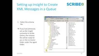 Using the Scribe Online Connector for Insight
