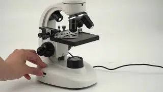 SVBONY SV605 Compound Binocular Microscope