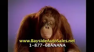 Bad Report BayA bad credit report shouldn&rsquo;t stop you from getting the car you need.