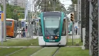 Barcelona trams at Palau Reial