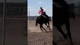 #nsca #omoksee #horse #rodeo #horseshow #western #westernriding #aqha #youtubeshorts #subscribe
