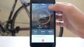 Misfit Shine Review
