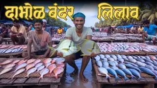 ताज्या मास्यांचा लिलाव | Fish Auction in Dapoli Ratnagiri | Dabhol fish Auction 🐟🦀🦐🐠