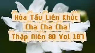 H&ograve;a Tấu Li&ecirc;n Kh&uacute;c Cha Cha Cha Thập Ni&ecirc;n 80 Vol 107 - Guitar V&ocirc; Thường 