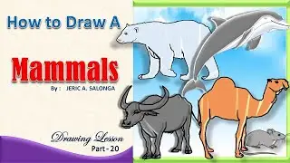 How to Draw a Mammals ( Drawing Lesson )
