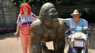 St  Louis Zoo