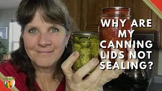 Why are My Canning Lids Not Sealing? Are your methods right? pt 4