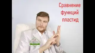 Сравнение функций пластид. ЕГЭ Биология. ЕГЭ 2022.