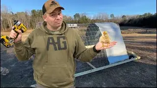 Building a ranch style chicken coop for cheap, beginners style. #farmlife #chickencoop #fyp #ranch 