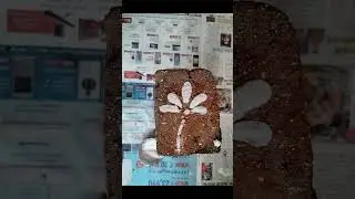రాధా సప్తమి bricks decor idea🌞🪷#homam decor #traditional#festival Vibe