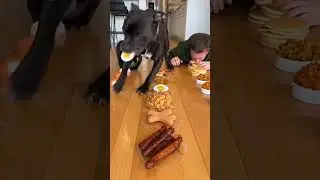 They Started Calm&hellip; Then This Happened