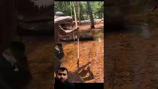 তির ধনুক দীয়ে বিশাল শোল মাছ শিকার #youtubeshort #feshing #video #foryou