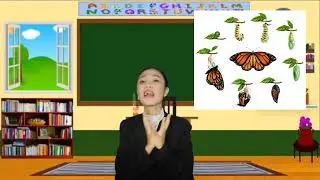 Science 6- Energy Transformation (Teaching Demo)