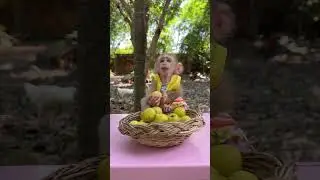 Brave Baby Monkey Max Look So Handsome