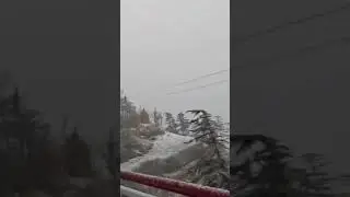 first snowfall in shimla#trending #videoviral #subscribe
